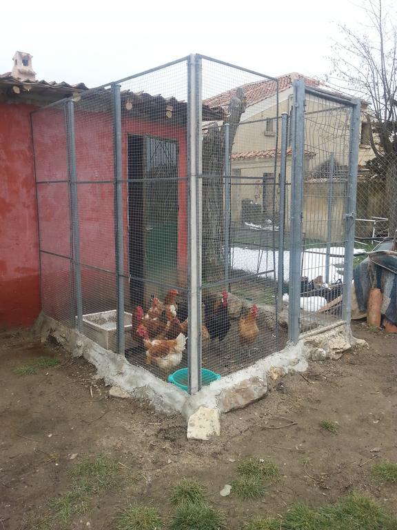 نزل Arconesفي El Refugio Del Dragon المظهر الخارجي الصورة